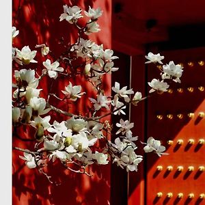 Hotel Cote Cour Deductive Beijing - Quadrangle Close To Tiananmen Square & Forbidden City & Nanluoguxiang, Walk To Wangfujing, English Speaking, Free Wifi, Free Laundry, Free Wonton & Noodles With Tour Ticket Service, Free Selfies With Ancient Costum
